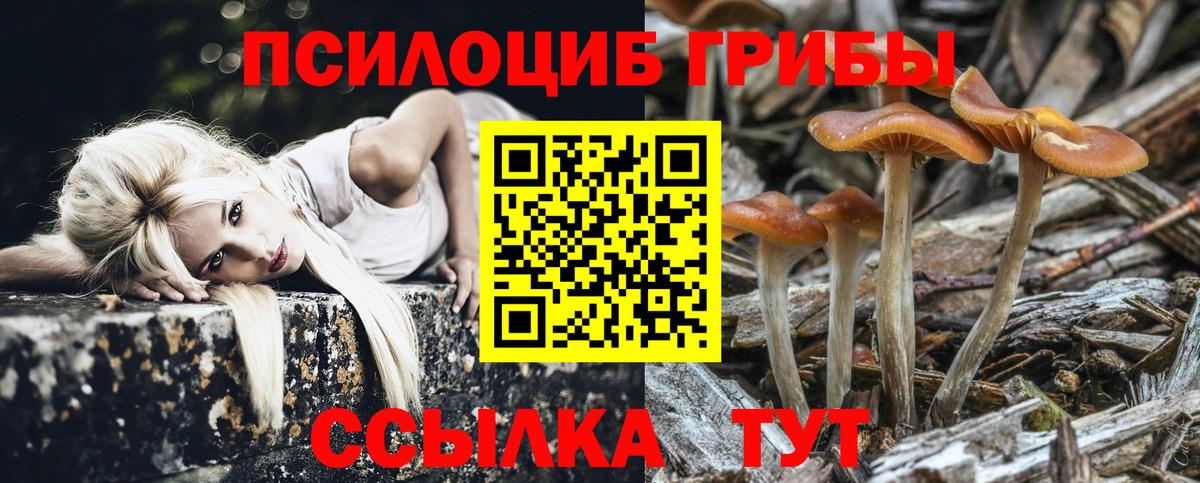 Псилоцибиновые грибы прущие грибы Солнечногорск